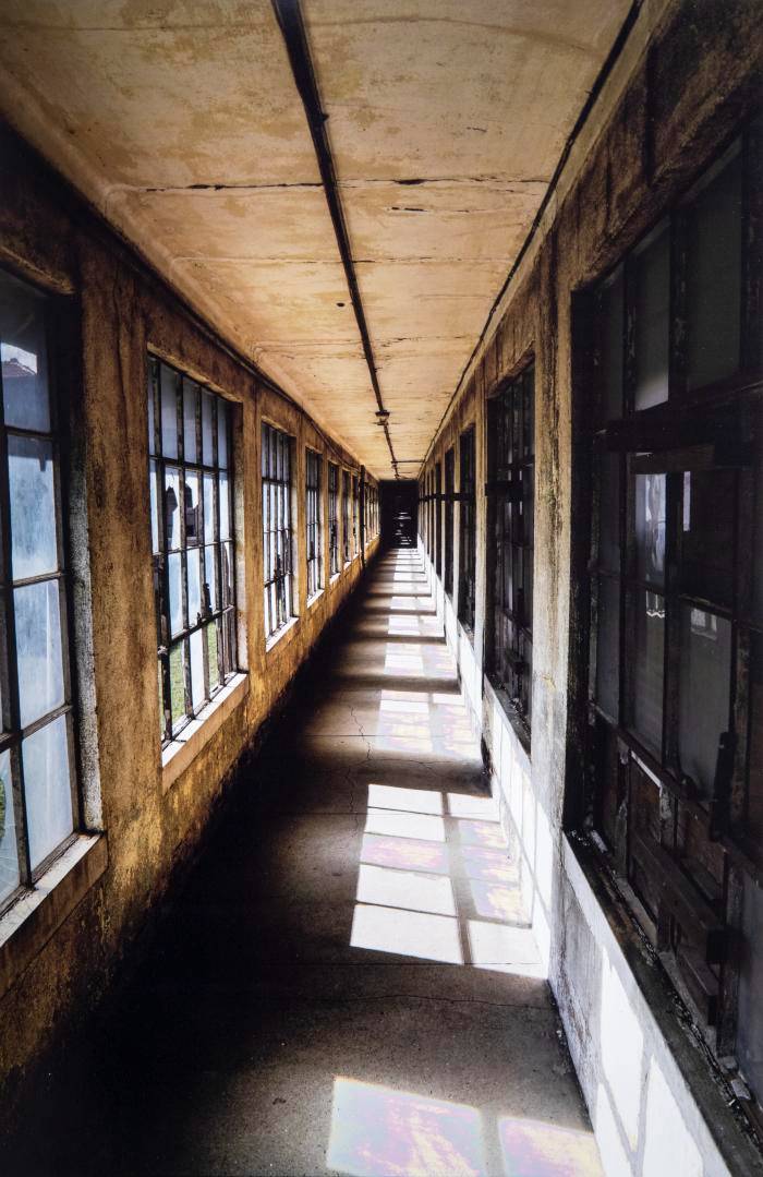 Christopher Gillespie, The 29 in Ellis